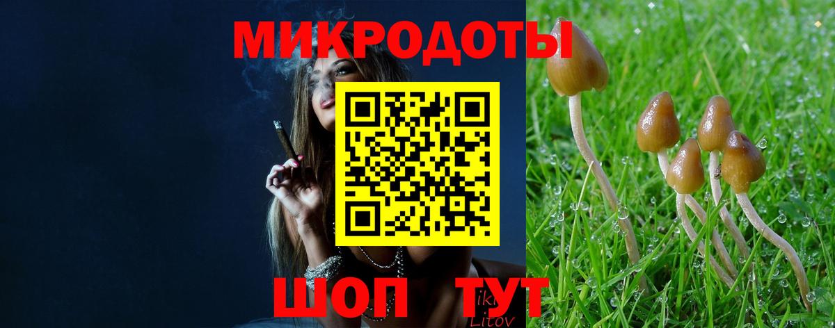 Галлюциногенные грибы ЛСД  Вход с VPN  Нововоронеж 